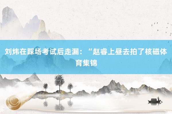 刘炜在踩场考试后走漏：“赵睿上昼去拍了核磁体育集锦