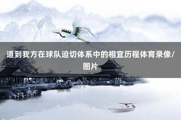 道到我方在球队迫切体系中的相宜历程体育录像/图片