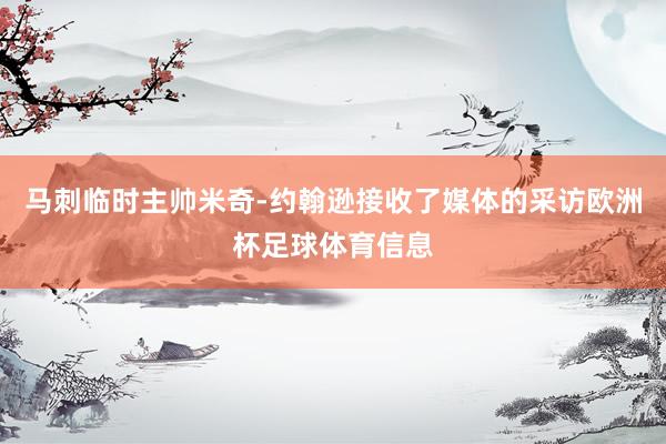 马刺临时主帅米奇-约翰逊接收了媒体的采访欧洲杯足球体育信息