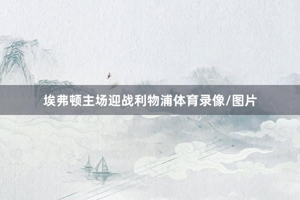 埃弗顿主场迎战利物浦体育录像/图片