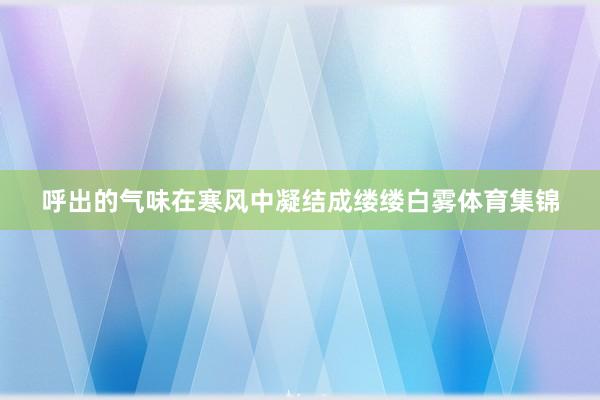 呼出的气味在寒风中凝结成缕缕白雾体育集锦