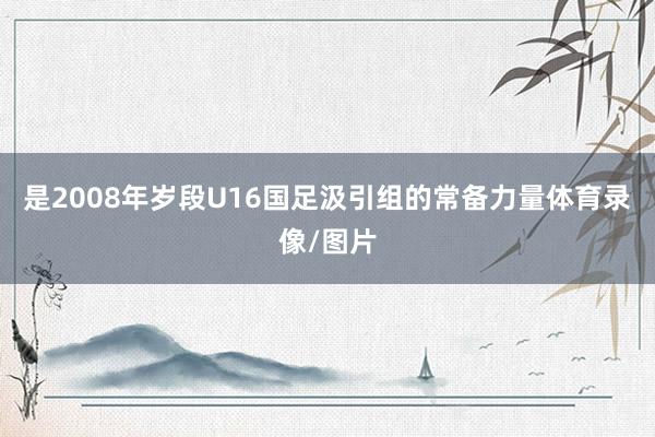 是2008年岁段U16国足汲引组的常备力量体育录像/图片