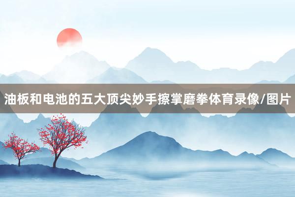 油板和电池的五大顶尖妙手擦掌磨拳体育录像/图片