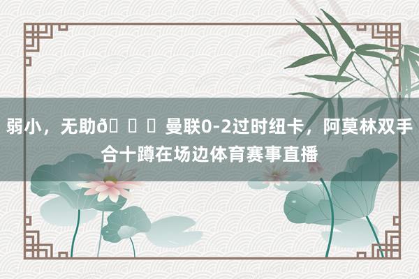 弱小，无助😖曼联0-2过时纽卡，阿莫林双手合十蹲在场边体育赛事直播