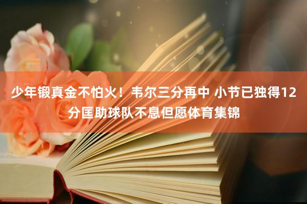 少年锻真金不怕火！韦尔三分再中 小节已独得12分匡助球队不息但愿体育集锦