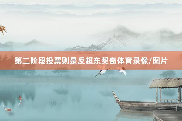第二阶段投票则是反超东契奇体育录像/图片