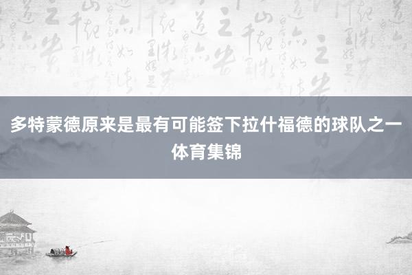多特蒙德原来是最有可能签下拉什福德的球队之一体育集锦