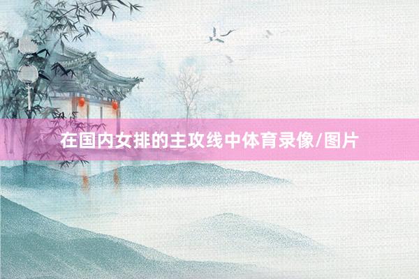 在国内女排的主攻线中体育录像/图片