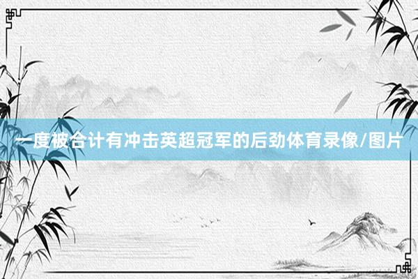 一度被合计有冲击英超冠军的后劲体育录像/图片
