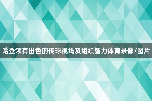 哈登领有出色的传球视线及组织智力体育录像/图片