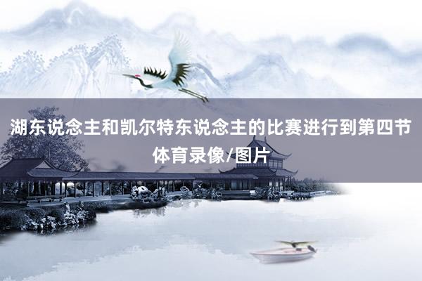 湖东说念主和凯尔特东说念主的比赛进行到第四节体育录像/图片