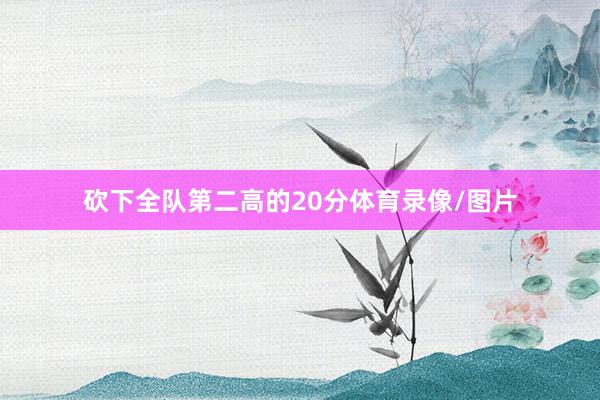 砍下全队第二高的20分体育录像/图片