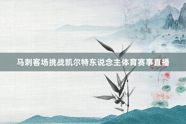 马刺客场挑战凯尔特东说念主体育赛事直播