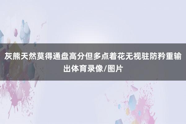 灰熊天然莫得通盘高分但多点着花无视驻防矜重输出体育录像/图片