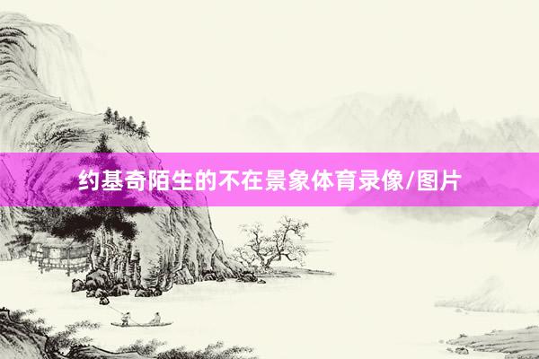 约基奇陌生的不在景象体育录像/图片