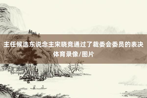主任候选东说念主宋晓竞通过了裁委会委员的表决体育录像/图片