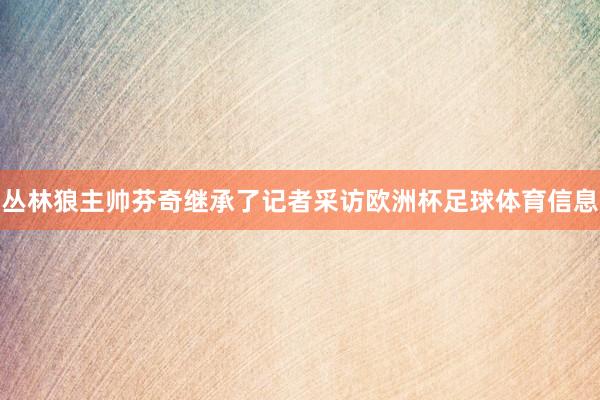 丛林狼主帅芬奇继承了记者采访欧洲杯足球体育信息