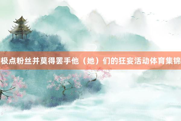 极点粉丝并莫得罢手他(她)们的狂妄活动体育集锦