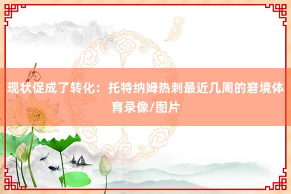 现状促成了转化:托特纳姆热刺最近几周的窘境体育录像/图片