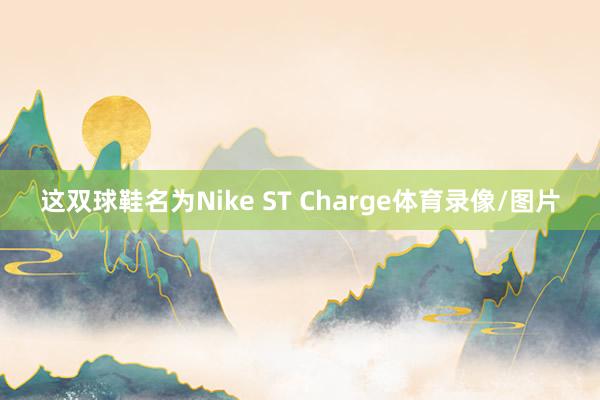 这双球鞋名为Nike ST Charge体育录像/图片